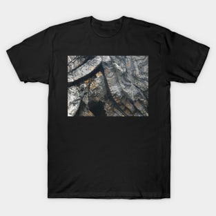 The Force of Stone T-Shirt